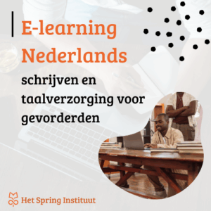 Nederlands voor gevorderden (B1→B2) - Schrijven en taalverzorging - E-learning