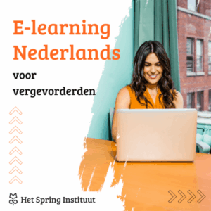 Nederlands voor vergevorderden (B2) - E-learning