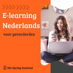 Nederlands voor gevorderden (B1→B2) - E-learning